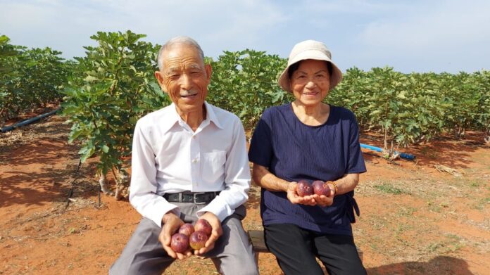 Casal de japoneses de 87 anos se muda para o Sertão do Ceará para realizar sonho