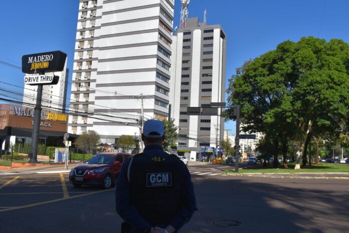 vida no transito