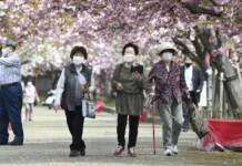 Número de centenários no Japão passa dos 100 mil
